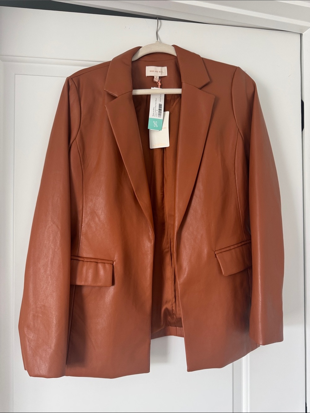 Skies Are Blue Faux Leather Blazer in Rust